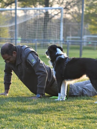 Dog Park - Ochopee, FL