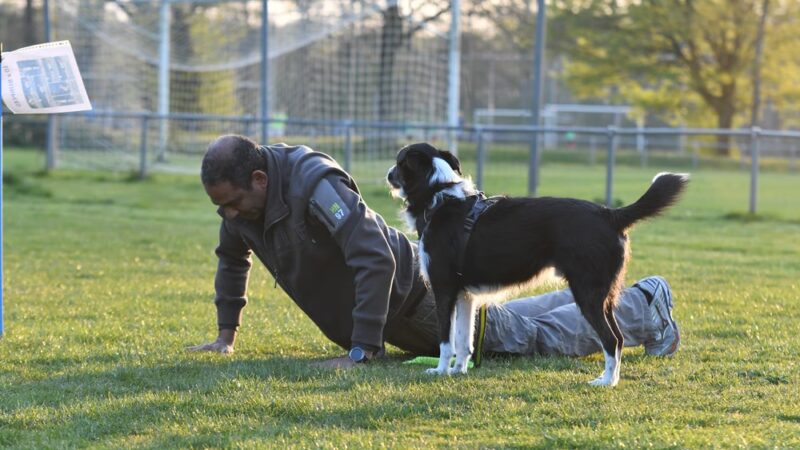 Dog Park - Ochopee, FL