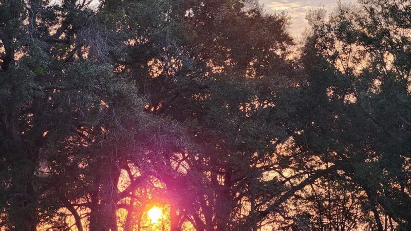 Freedom Park - Ocoee, FL