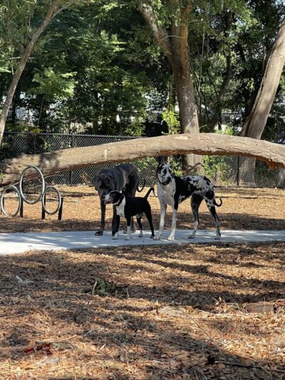 Montgomery Park - Ocoee, FL