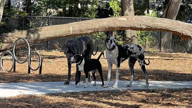 Montgomery Park - Ocoee, FL