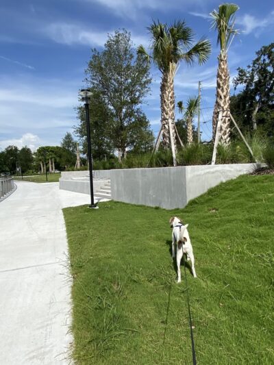 Ocoee Downtown Stormwater Park - Ocoee, FL