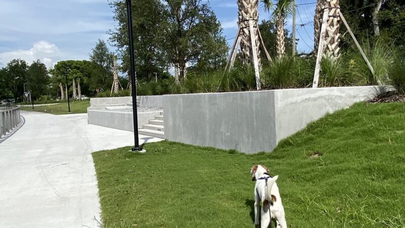 Ocoee Downtown Stormwater Park - Ocoee, FL