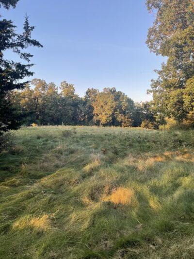 Chapman Park - Oconomowoc, WI