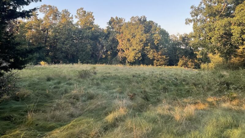 Chapman Park - Oconomowoc, WI