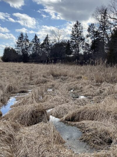 Chapman Park - Oconomowoc, WI