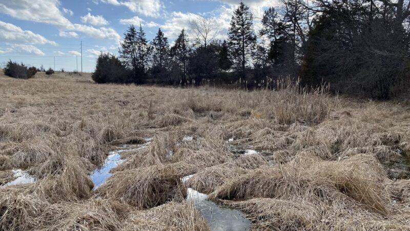 Chapman Park - Oconomowoc, WI