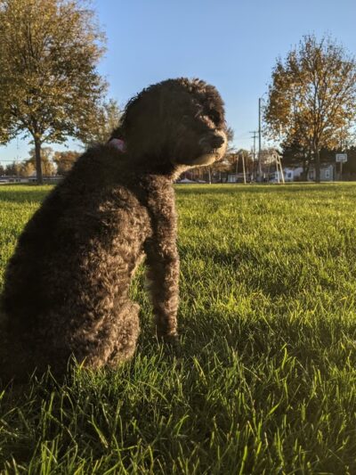 Memorial Park - Ogallala, NE