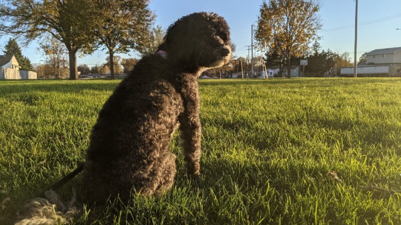 Memorial Park - Ogallala, NE