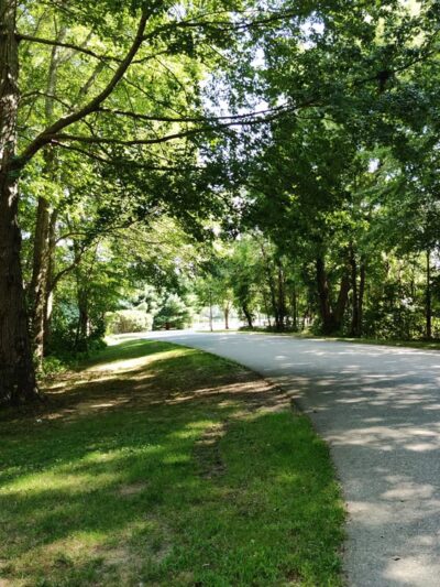 Town Woods Park - Old Lyme, CT