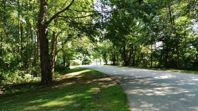 Town Woods Park - Old Lyme, CT