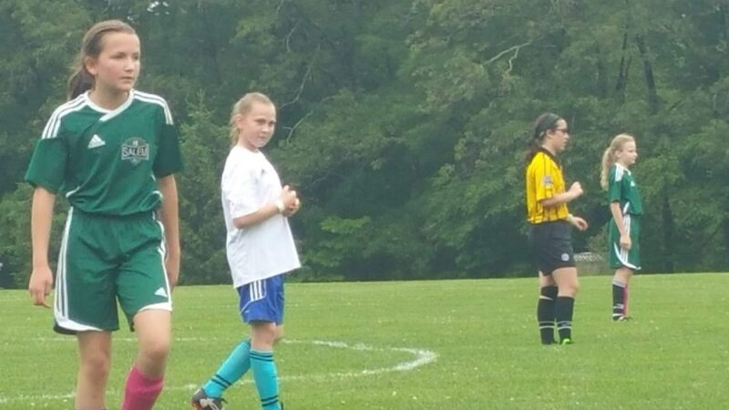 Town Woods Park - Old Lyme, CT