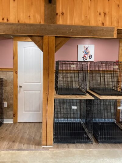 Four Paws Farm, LLC - Old Town, ME