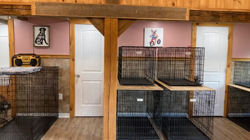 Four Paws Farm, LLC - Old Town, ME