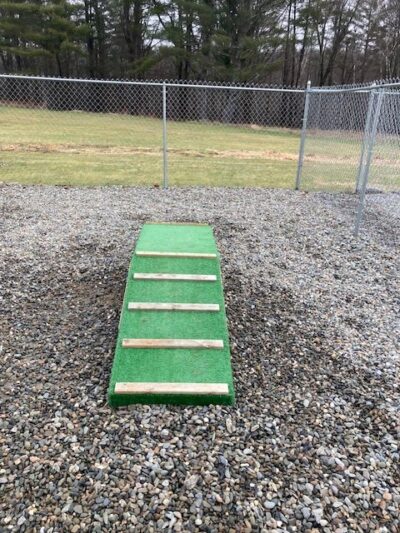 Four Paws Farm, LLC - Old Town, ME