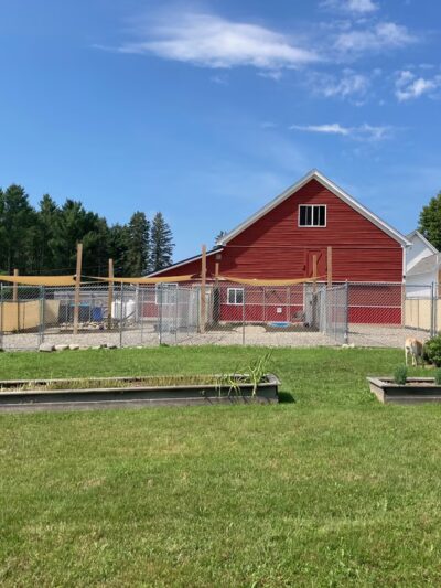 Four Paws Farm, LLC - Old Town, ME