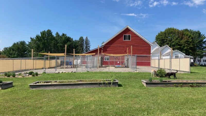 Four Paws Farm, LLC - Old Town, ME