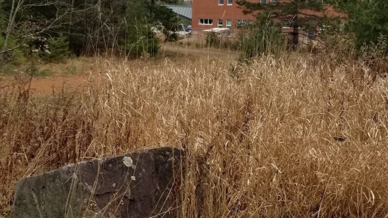 Perkins Avenue Park - Old Town, ME