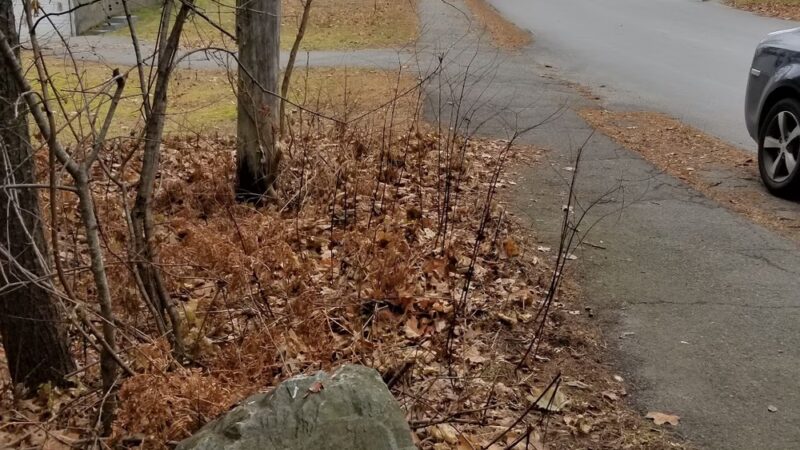 Perkins Avenue Park - Old Town, ME