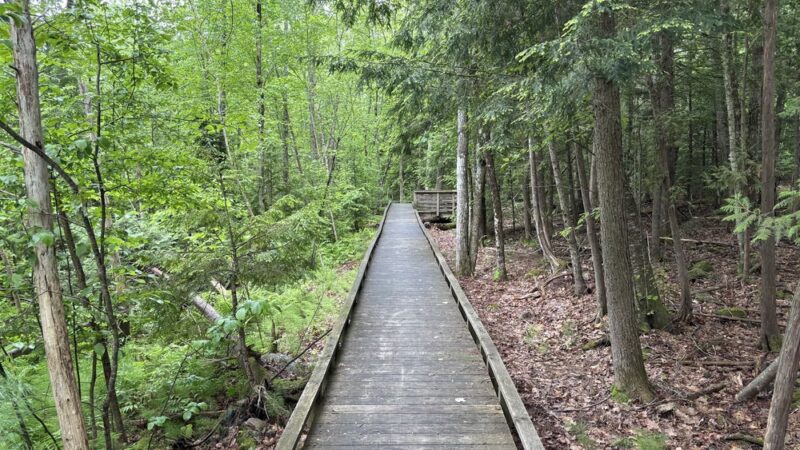 River Trail and Pavilion Park - Old Town, ME