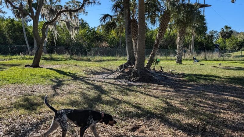 Bark Park (Large) - Oldsmar, FL