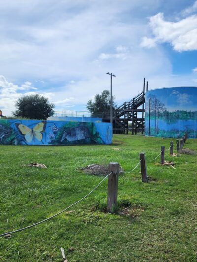 Bark Park (Large) - Oldsmar, FL