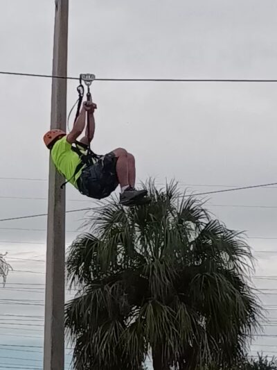 Bark Park (Large) - Oldsmar, FL