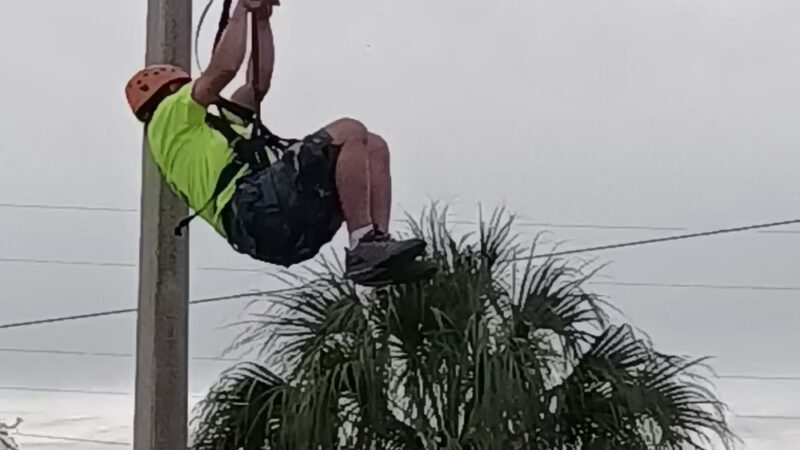 Bark Park (Large) - Oldsmar, FL