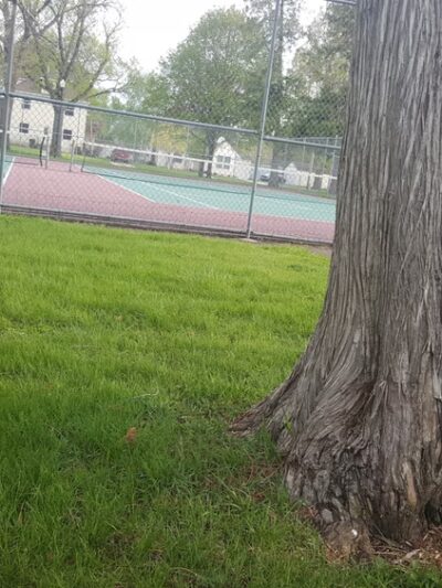 Nester Park - Olivia, MN