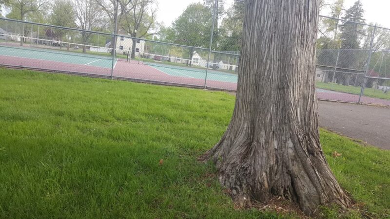 Nester Park - Olivia, MN