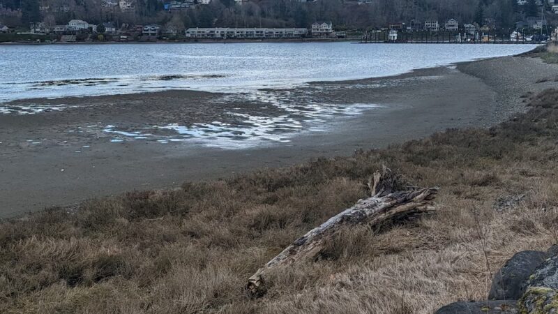 Billy Frank Jr. Park - Olympia, WA