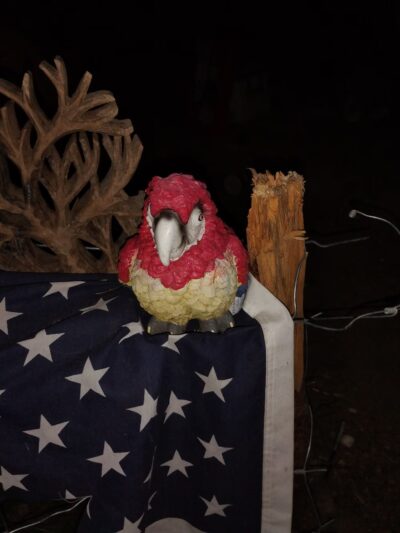 Dead Dudes Railroad Ranch - Olympia, WA