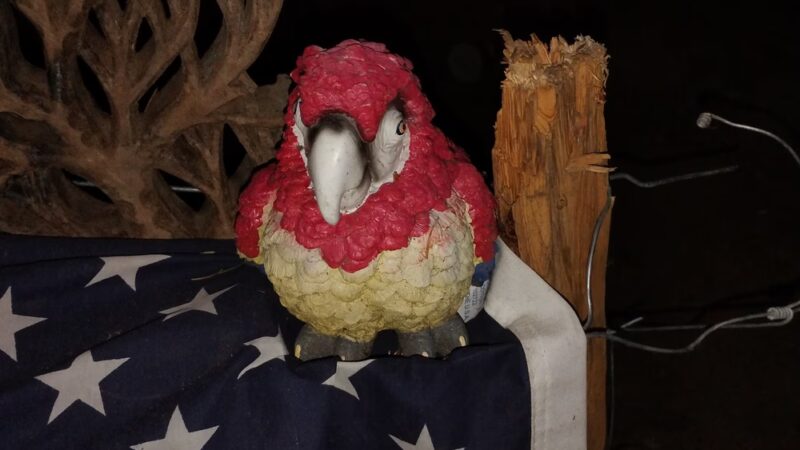 Dead Dudes Railroad Ranch - Olympia, WA