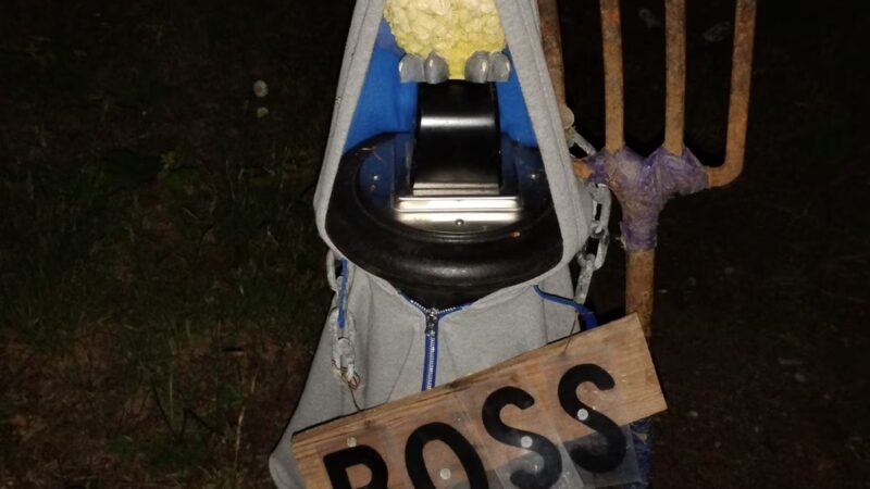 Dead Dudes Railroad Ranch - Olympia, WA