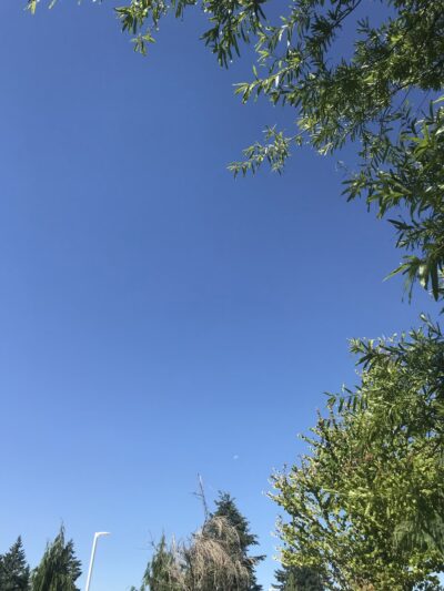 Dead Dudes Railroad Ranch - Olympia, WA