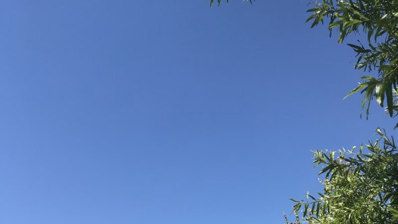 Dead Dudes Railroad Ranch - Olympia, WA