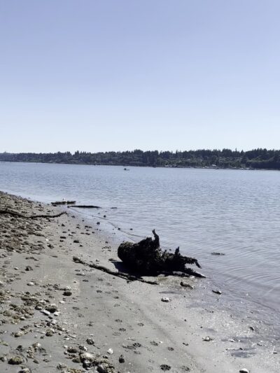 Squaxin Park - Olympia, WA