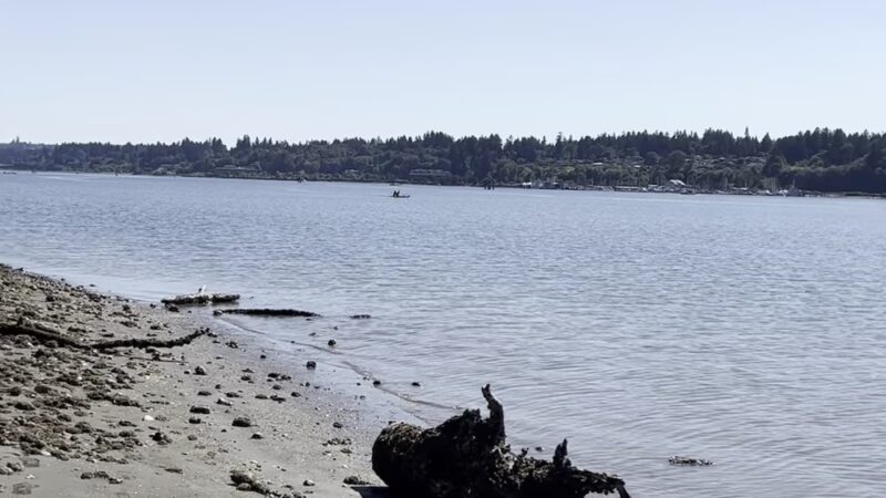 Squaxin Park - Olympia, WA