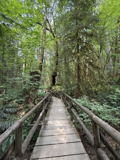 Squaxin Park - Olympia, WA