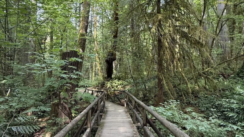 Squaxin Park - Olympia, WA