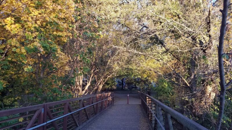 Bridlewood Park - Omaha, NE