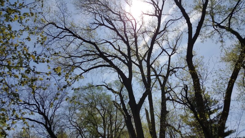 Center Park - Omaha, NE