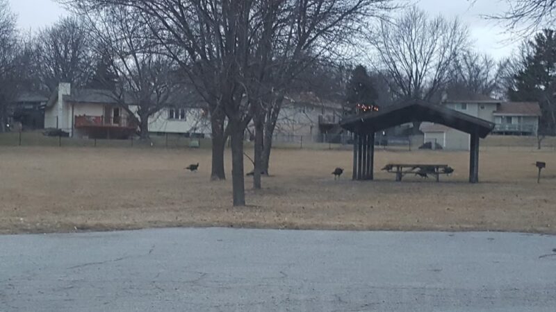 Center Park - Omaha, NE