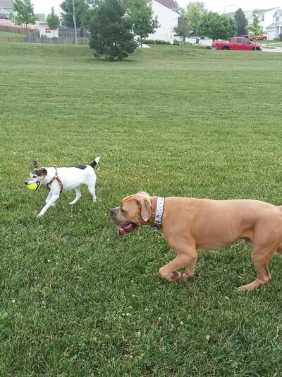 Deerwood Park - Omaha, NE