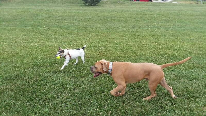 Deerwood Park - Omaha, NE