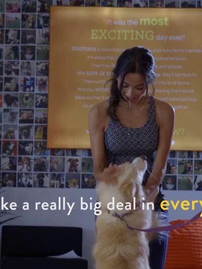 Dogtopia of Omaha-Northwest - Omaha, NE