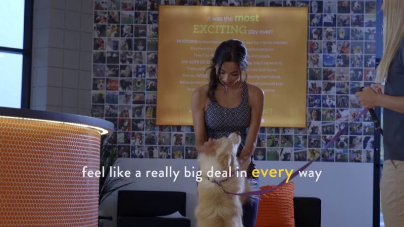 Dogtopia of Omaha-Northwest - Omaha, NE