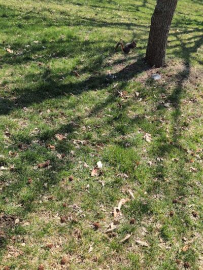 Elk Creek Park - Omaha, NE