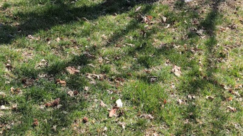 Elk Creek Park - Omaha, NE