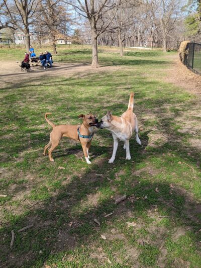 Hanscom Park - Omaha, NE